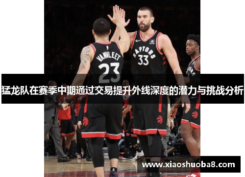 猛龙队在赛季中期通过交易提升外线深度的潜力与挑战分析