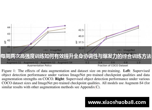 每周两次高强度训练如何有效提升全身协调性与爆发力的综合训练方法