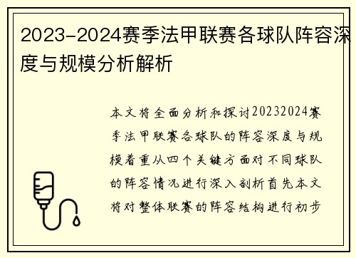 2023-2024赛季法甲联赛各球队阵容深度与规模分析解析