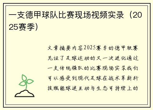 一支德甲球队比赛现场视频实录（2025赛季）