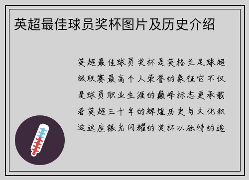 英超最佳球员奖杯图片及历史介绍